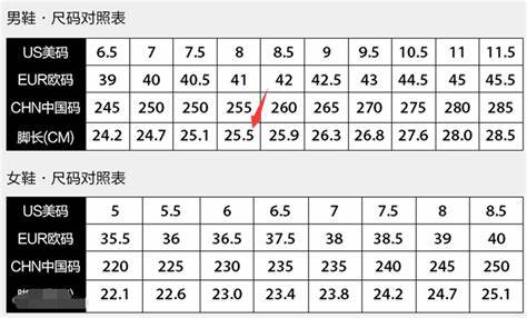 Shoe size
